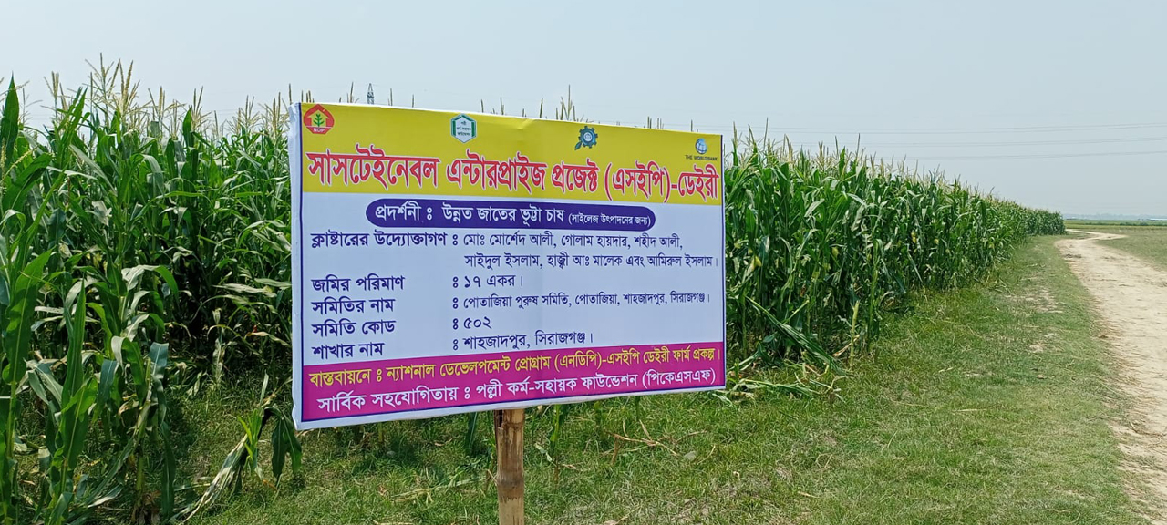 silage-banner
